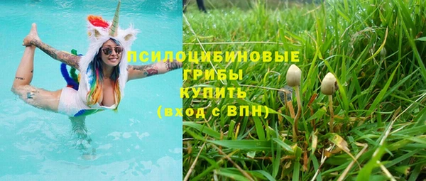 соль ск Алзамай