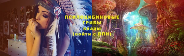 соль ск Алзамай