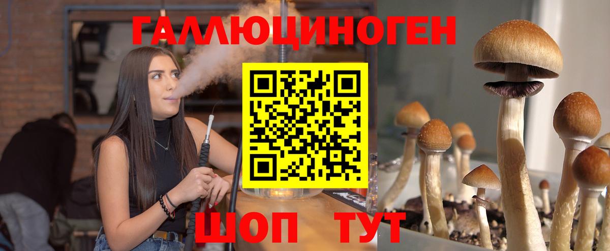 Псилоцибиновые грибы ЛСД Астрахань